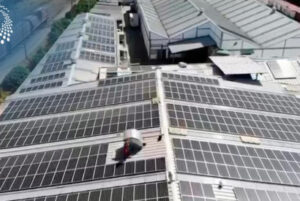Suports suministra 600 kW Mexico